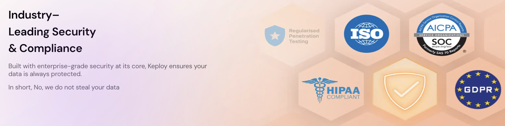 Keploy Record Test case