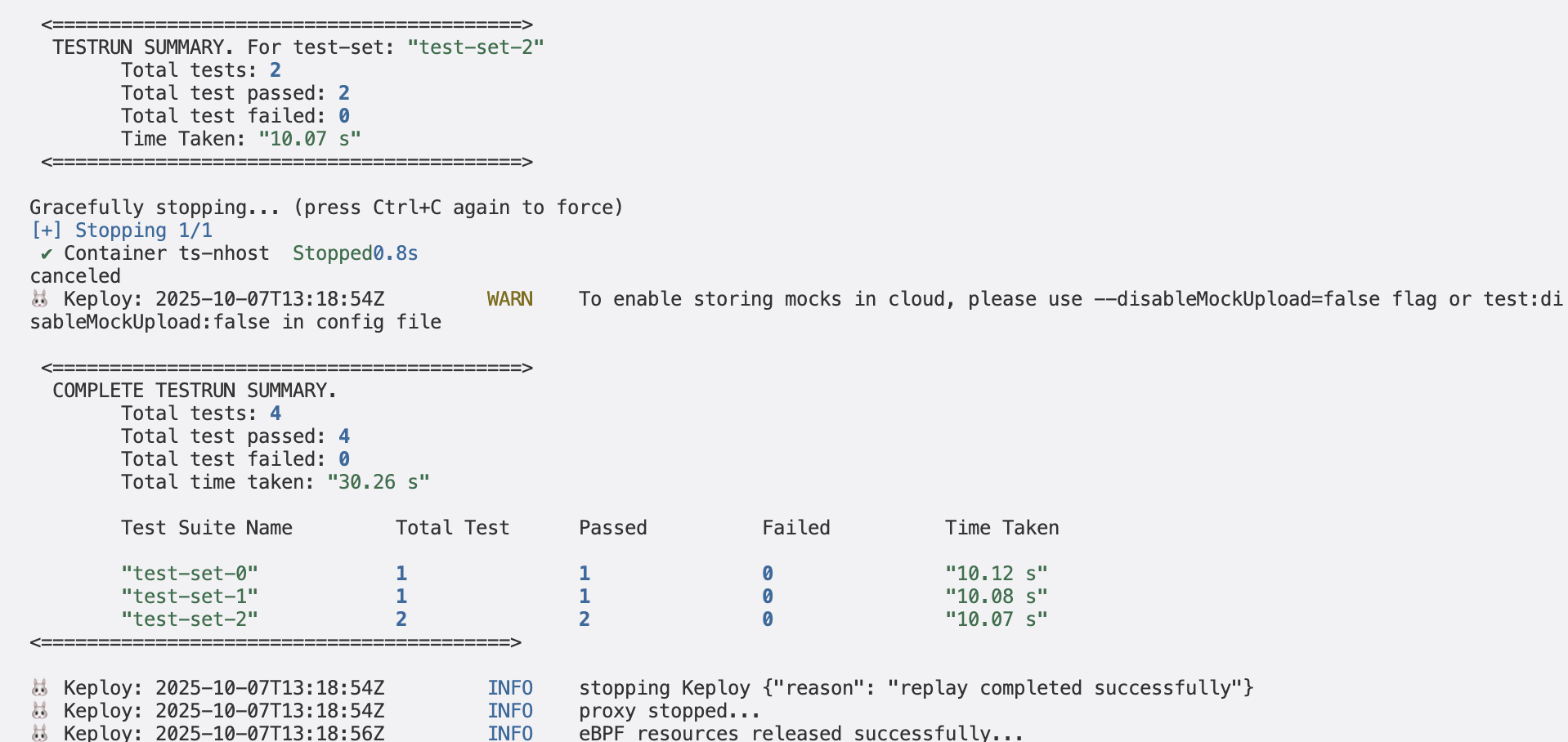 Sample Keploy TS Nhost Summary